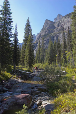 Cataract Creek