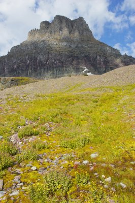 Clements Mountain