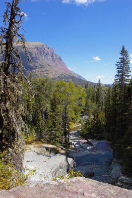 Virginia Creek