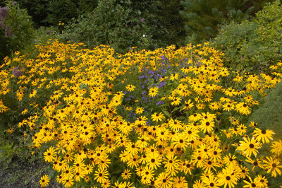 Belknap Hot Springs garden