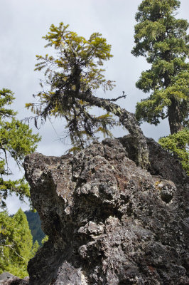 Near Proxy Falls