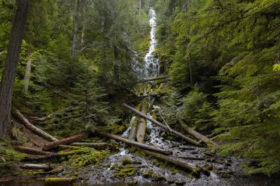 Near Proxy Falls