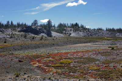 Obsidian Falls trail 