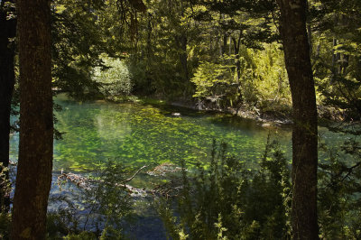 Cascada Los Cesares - River