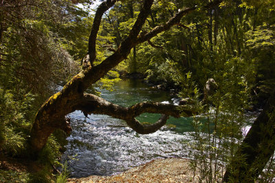 Cascada Los Cesares - River