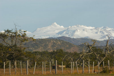 Patagonian Ice Field