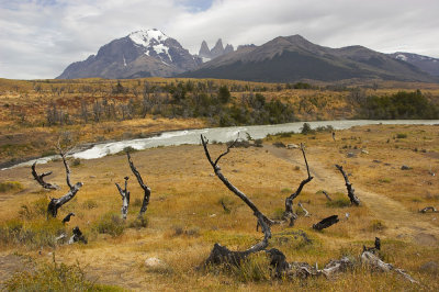 Rio Paine