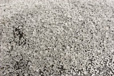 Laguna Amarga  - Salt