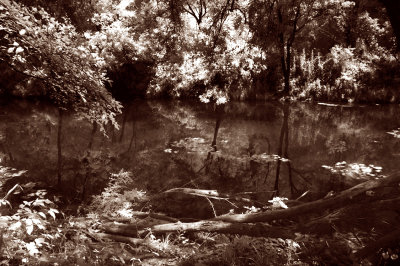 The Creek II.duotone.jpg