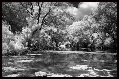 The Creek.IR.BW.jpg