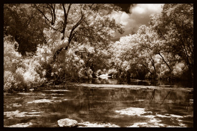 The Creek.IR.duotone.jpg