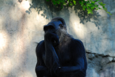 DSC_2331.jpg