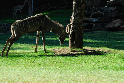 DSC_2337.jpg