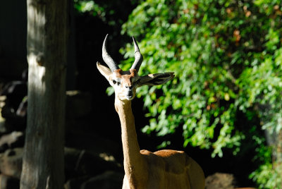 DSC_2340.jpg