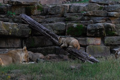 DSC_2348.jpg