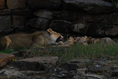DSC_2353.jpg