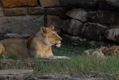 DSC_2354.jpg