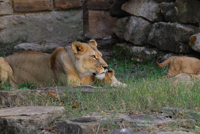 DSC_2355.jpg