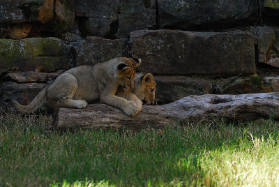 DSC_2359.jpg
