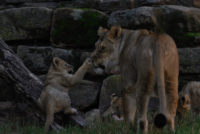 DSC_2362.jpg