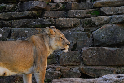 DSC_2363.jpg