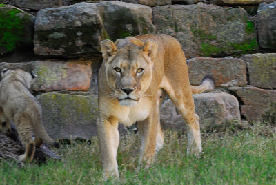 DSC_2370.jpg
