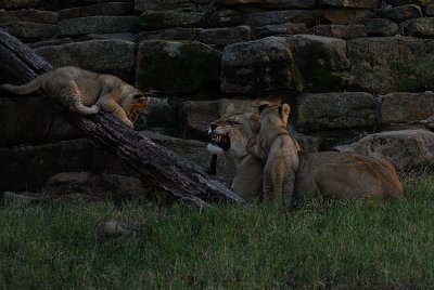 DSC_2374.jpg