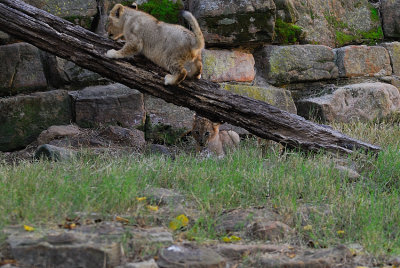 DSC_2376.jpg