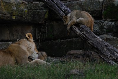 DSC_2383.jpg