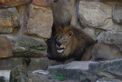 DSC_2386.jpg