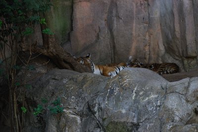 DSC_2389.jpg