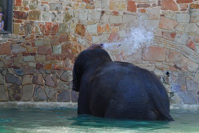 DSC_2391.jpg