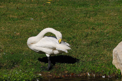 DSC_2405.jpg