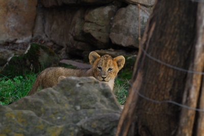 DSC_2430.jpg
