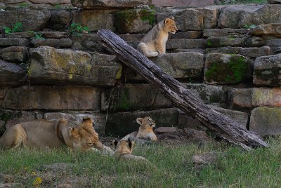 DSC_2434.jpg