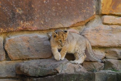 DSC_2435.jpg