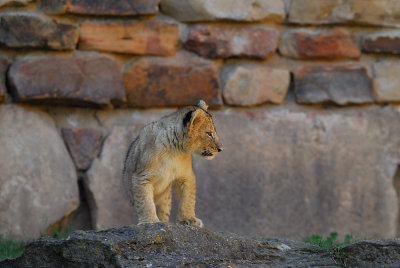 DSC_2440.jpg