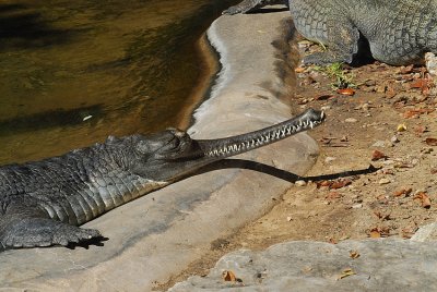 DSC_2461.jpg