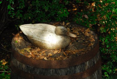 DSC_2471.jpg