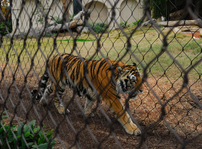 DSC_3328w.jpg