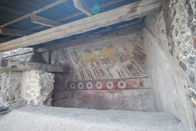 DSC_1247_239_w .jpg