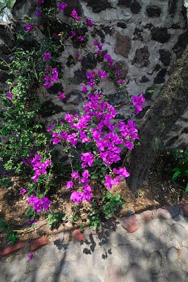 DSC_1266_258_w .jpg