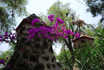 DSC_1268_260_w .jpg