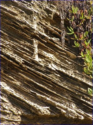 Image052.jpg