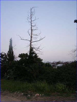 Image020.jpg