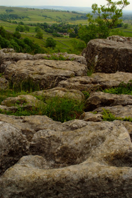 S_DSCF2985.jpg