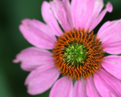 g1/15/32315/3/112360378.Hvtxlqc2.jpg