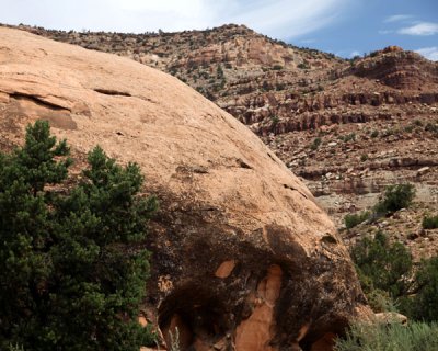 Redrock