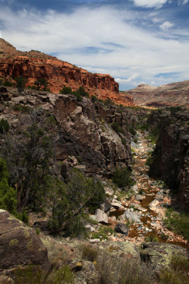 Escalante view
