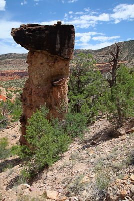 Hoodoo and tree